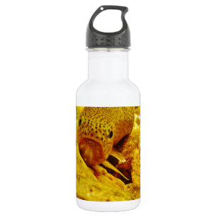 Forellen Edelstahlflasche