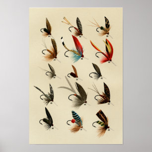 Forellen Fliegen 84 bis 98 Vintag Poster