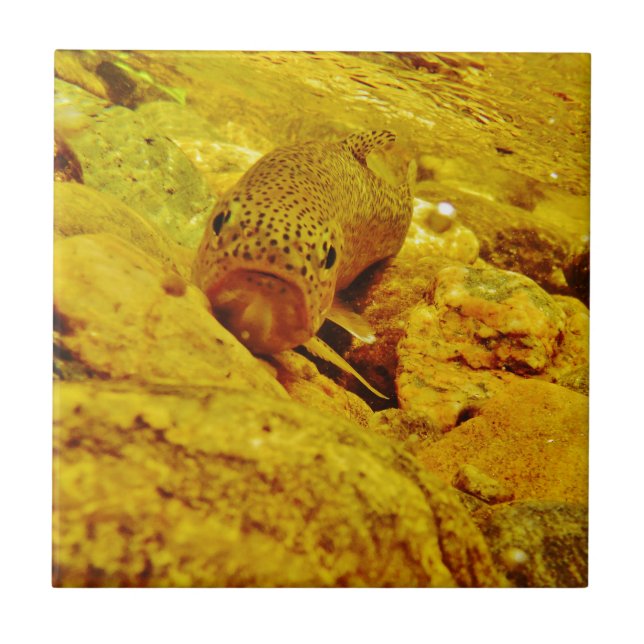 Forellen Fliese (Vorderseite)