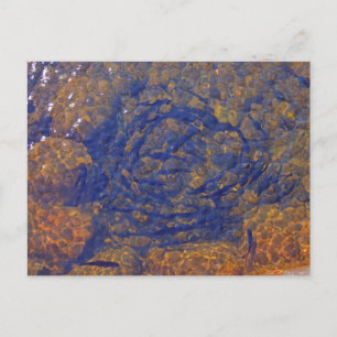 Forellen in einem Kampffall in einem Teich, Charle Postkarte