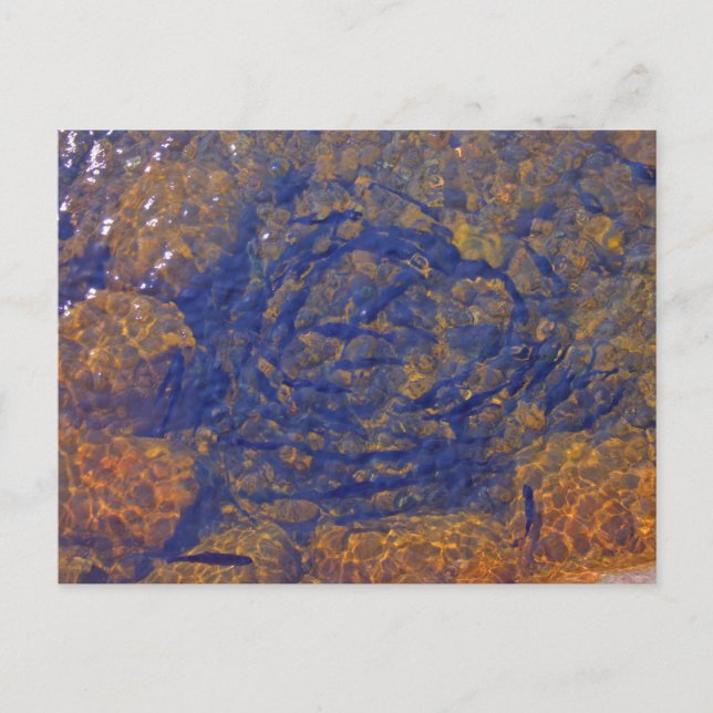 Forellen in einem Kampffall in einem Teich, Charle Postkarte (Vorderseite)