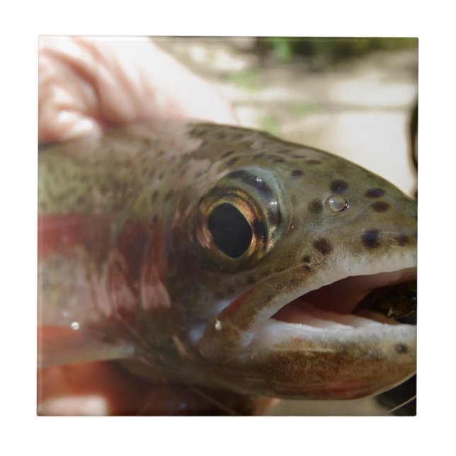 Forellen in Händen Fliese (Vorderseite)