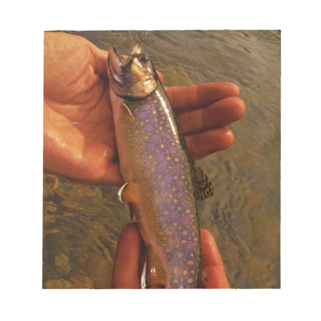 Forellen in Händen Notizblock (Vorderseite)