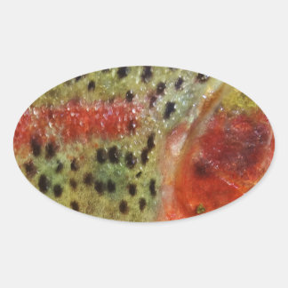 Forellen in Händen Ovaler Aufkleber