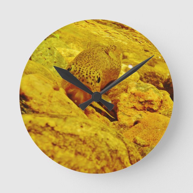 Forellen Runde Wanduhr (Vorderseite)
