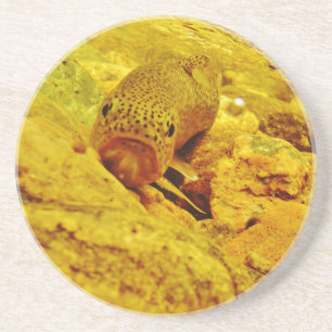 Forellen Sandstein Untersetzer