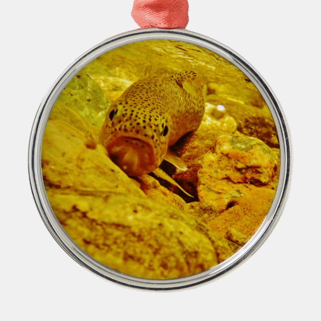 Forellen Silbernes Ornament (Vorne)
