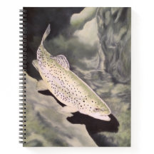 Forellen Skizzenbuch