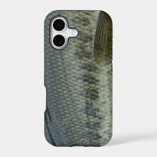 Forellenbarsch durch Patternwear© Fliegen-Fischen
