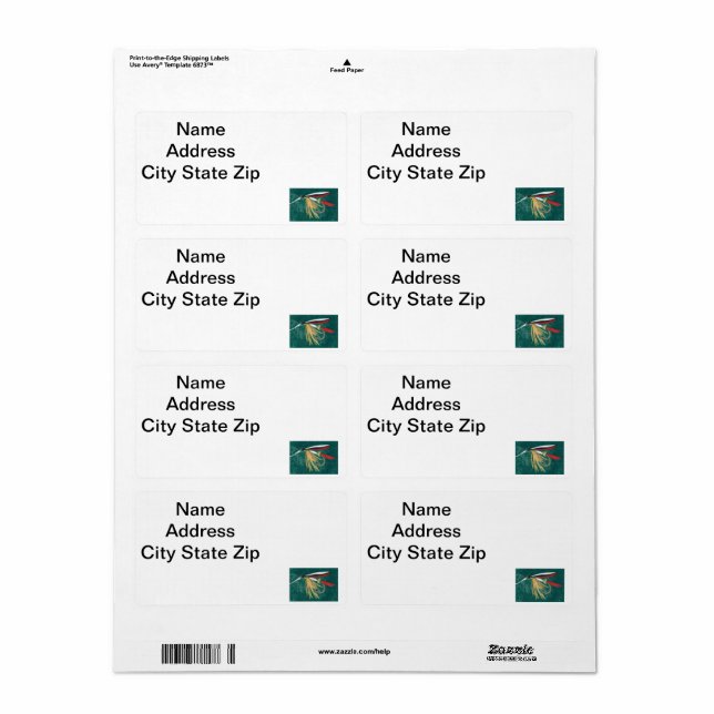 Forellenfliege Fliegenfliege auf grüner (Vorne)