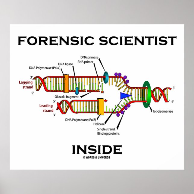 Forensic Scientist Inside (DNA-Replikation) Poster (Vorne)