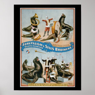 Forepaugh and Sells - Vintage Zirkussealions Poster