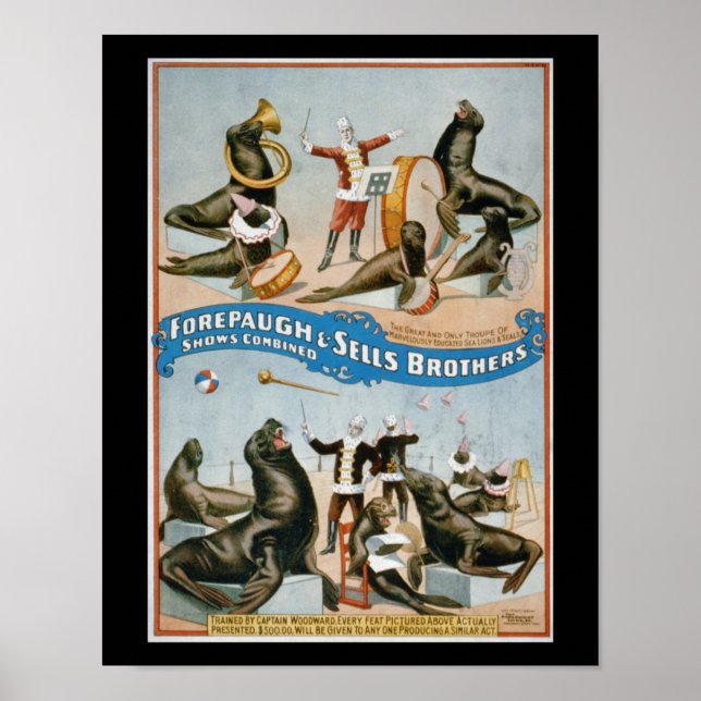 Forepaugh and Sells - Vintage Zirkussealions Poster (Vorne)