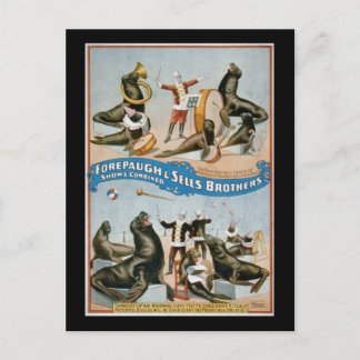 Forepaugh and Sells - Vintage Zirkussealions Postkarte