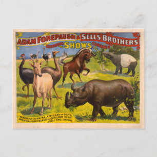 Forepaugh and Sells Wondrous Beasts Circus Poster Postkarte