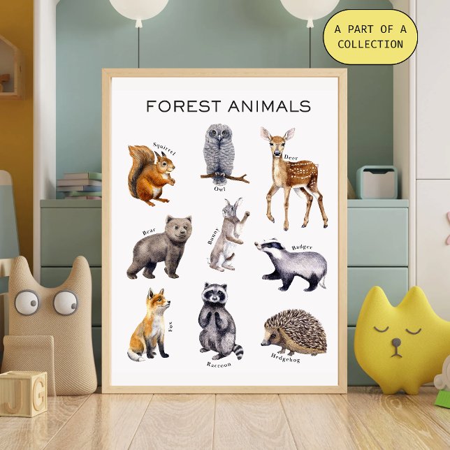 Forest Animals Educational Poster (Von Creator hochgeladen)