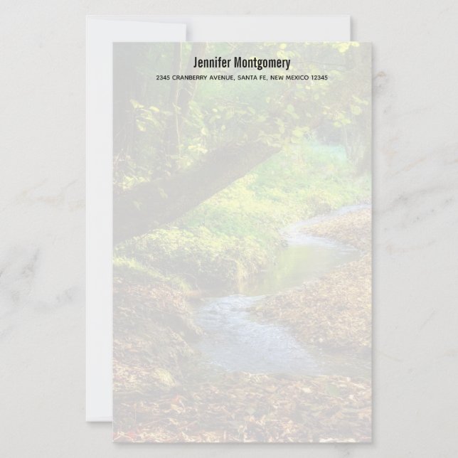 Forest Creek Schöne Landschaft Foto (Vorderseite)