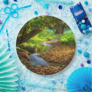 Forest Creek Schöne Landschaft Foto Pappteller