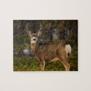 Forest Deer Buck Puzzle