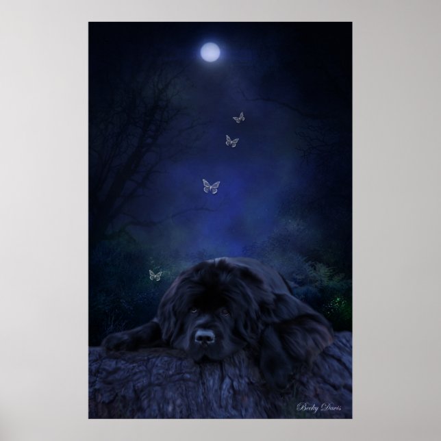 Forest Dreamer Poster (Vorne)