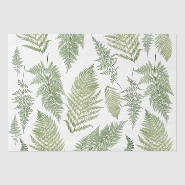 Forest Fern Fronds Vintage Vegetation Botanischer  Seidenpapier (Vorderseite)