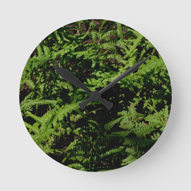 Forest Floor Ferns Runde Wanduhr (Vorderseite)