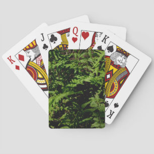 Forest Floor Ferns Spielkarten