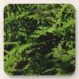 Forest Floor Ferns Untersetzer