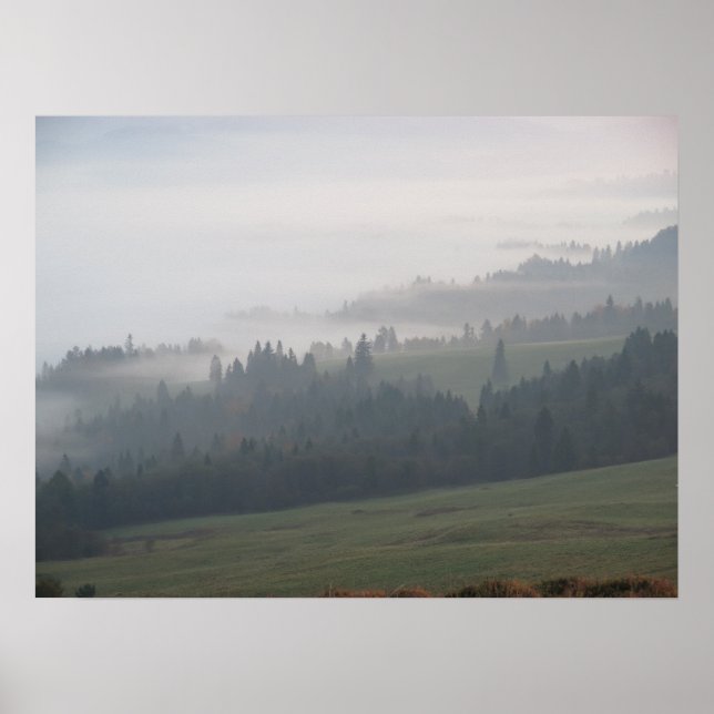 Forest Forest Pieniny Poster (Vorne)