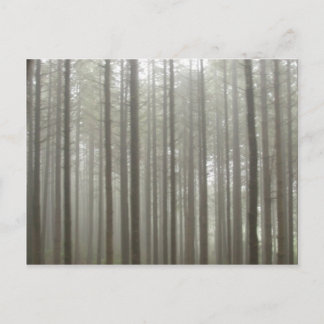 Forest Forest Postcard Postkarte