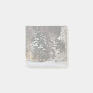 Forest Forest Scene Post-It Notes Klebezettel