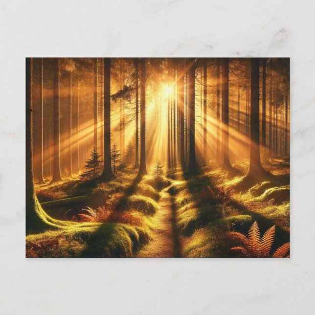 Forest Glow - Postkarte (Vorderseite)