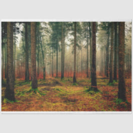 Forest Herbst 16 Dekoupage Tissue Paper Seidenpapier