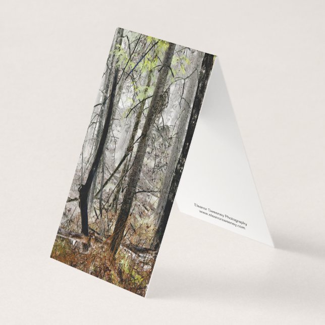 "Forest in Fog" - Digital transformierter Wald (Vorderseite)