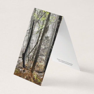 "Forest in Fog" - Digital transformierter Wald