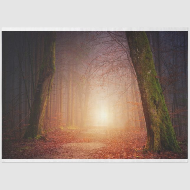 Forest Light 17 Decoupage Tissue Paper Seidenpapier (Vorderseite)