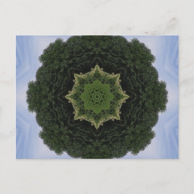 Forest Mandala Postkarte (Vorderseite)