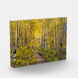 Forest of Aspen Trees Fotoblock