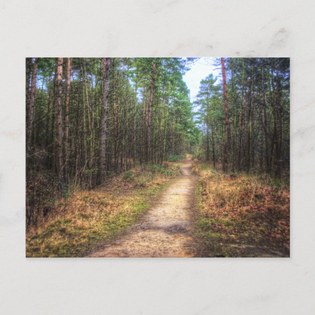 Forest Path HDR. Art Postcard Postkarte (Vorderseite)