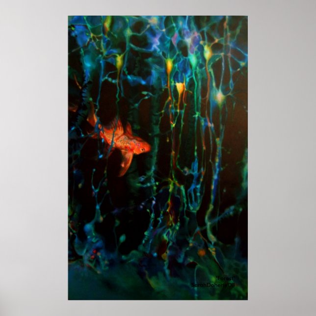 "Forest" Sarah Doherty 2008 Poster (Vorne)