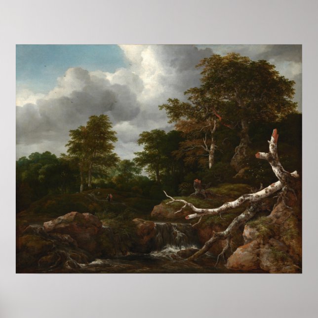 Forest Scene - Jacob van Ruisdael Kunstposter Poster (Vorne)