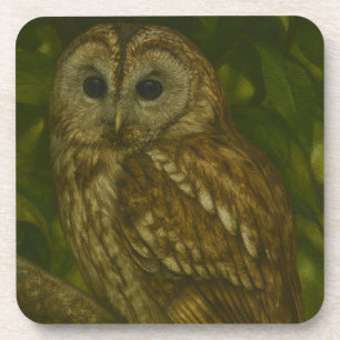 Forest Sentinel - Tawny Owl - Paradies für Naturfr Getränkeuntersetzer