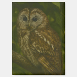 Forest Sentinel - Tawny Owl - Paradies für Naturfr Magnet