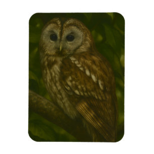 Forest Sentinel - Tawny Owl - Paradies für Naturfr Magnet