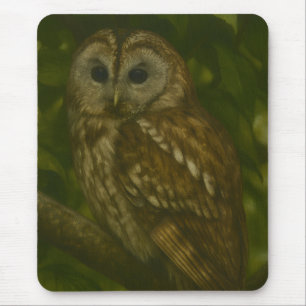 Forest Sentinel - Tawny Owl - Paradies für Naturfr Mousepad