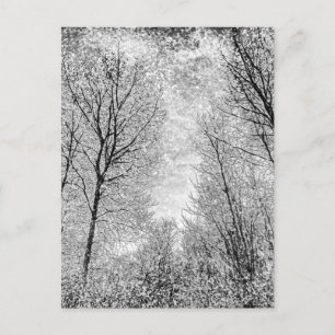 Forest Snow Art Postkarte