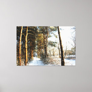 Forest Snow Scene 60x40 (150x100cm) waccn Leinwand