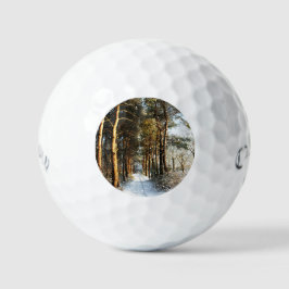 Forest Snow Scene css gbcnm Golfball