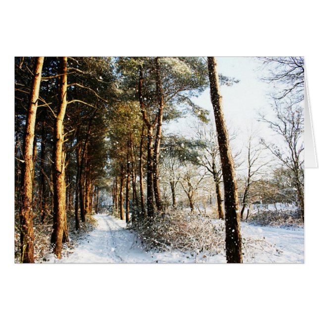 Forest Snow Scene Gccnm (Vorderseite (Horizontal))