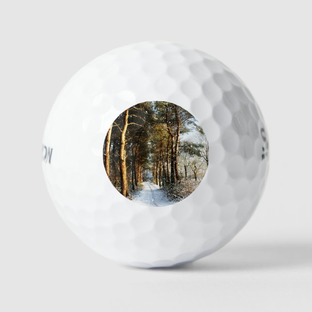 Forest Snow Scene ssf gbcna Golfball (Vorderseite)